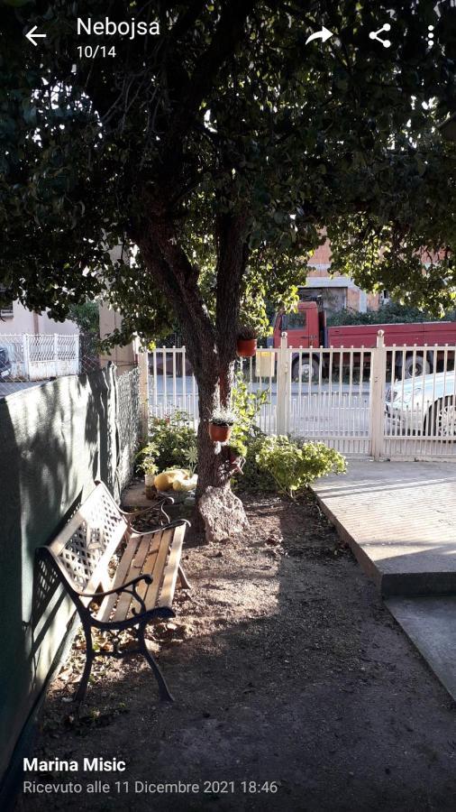 Apartman Milica Požarevac Exterior foto