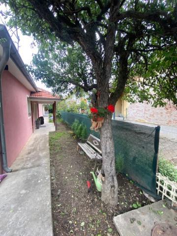 Apartman Milica Požarevac Exterior foto